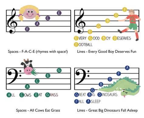 Music notes on the lines and spaces. Knowing how to read notes on sheet music might seem tricky initially, but it’s easier than it looks. From bottom to top, the treble clef notes for the lines are E, G, B, D, F; and the space notes are F, A, C, E. The spaces, in this case, are easy to memorize since they spell out the word face. 